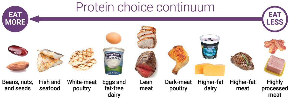 Protein chart listing foods that are better in protein.