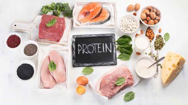 high protein foods