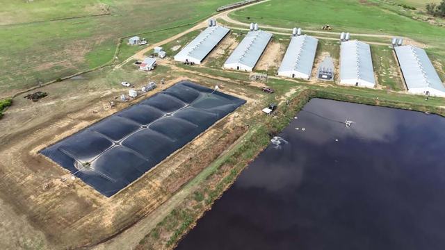 covered swine lagoon
