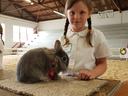 A young girl standing with her rabbit while waiting for judging.