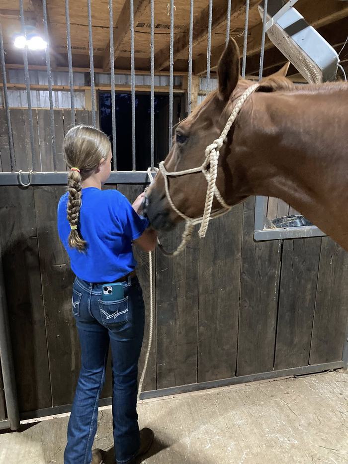 youth of a 4-H club with a horse at a club meeting