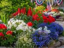 Red, white and blue Flower bed in front of a house with a white porch decorated with patriotic items