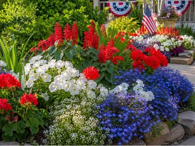 Red, white and blue Flower bed in front of a house with a white porch decorated with patriotic items