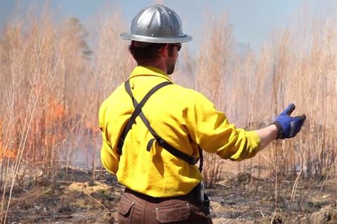 A man stands in front of a controlled burn.