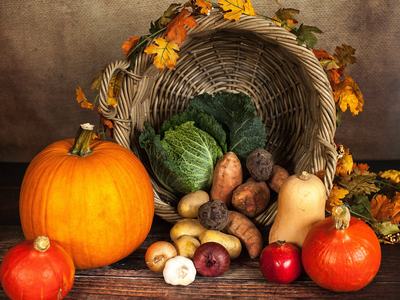 Different pumpkins and gourds in a display