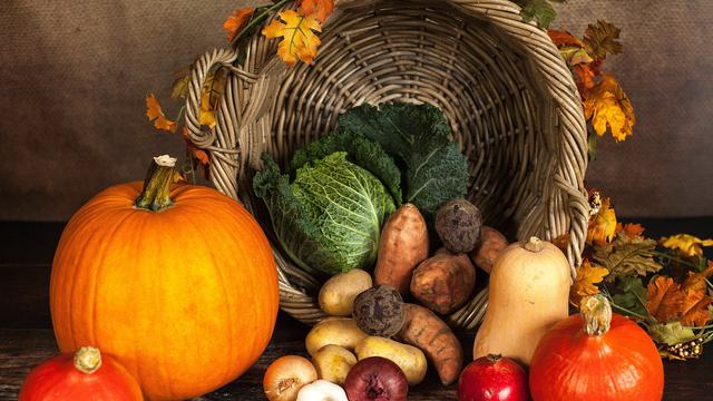 Different pumpkins and gourds in a display
