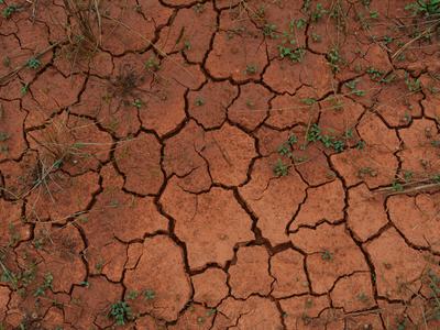 Dry clay that has cracks in it from severe drought with some weeds growing on it.