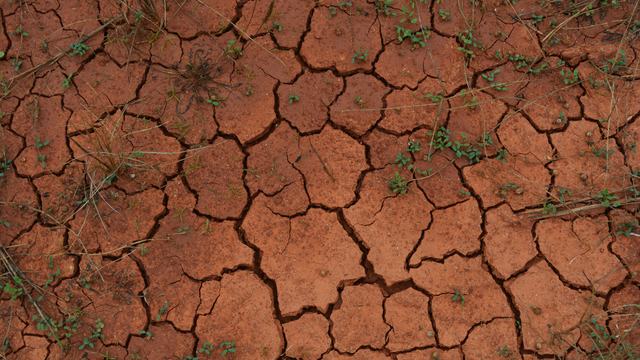 Dry clay that has cracks in it from severe drought with some weeds growing on it.