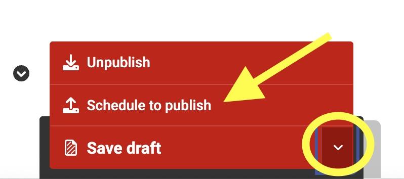 Screenshot of publish options for a scheduled post in Wagtail