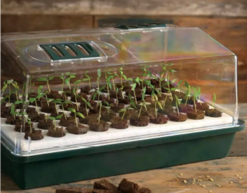 Tray of seedlings in a seed starting kit at the home of Master Gardener Steve Matadobra