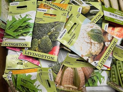 various packets of vegetable seeds