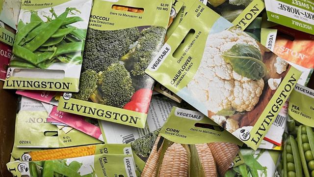 various packets of vegetable seeds