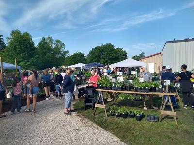 Community members enjoying the Spring Garden Festival