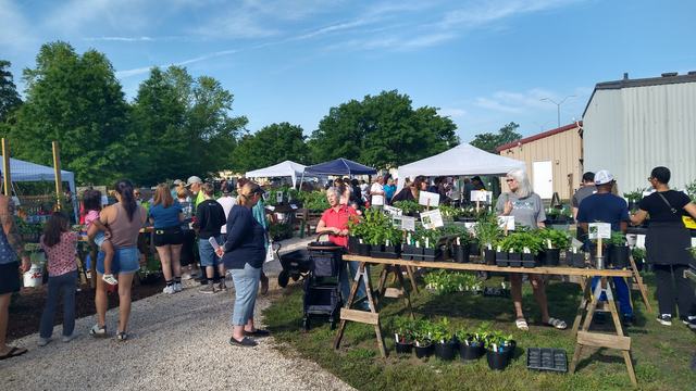Community members enjoying the Spring Garden Festival