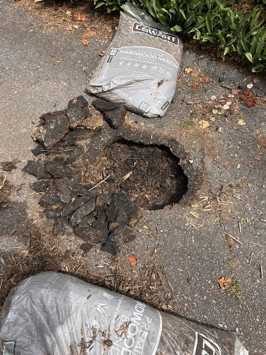 Dealing With Sinkholes - Henderson County Center | N.C.