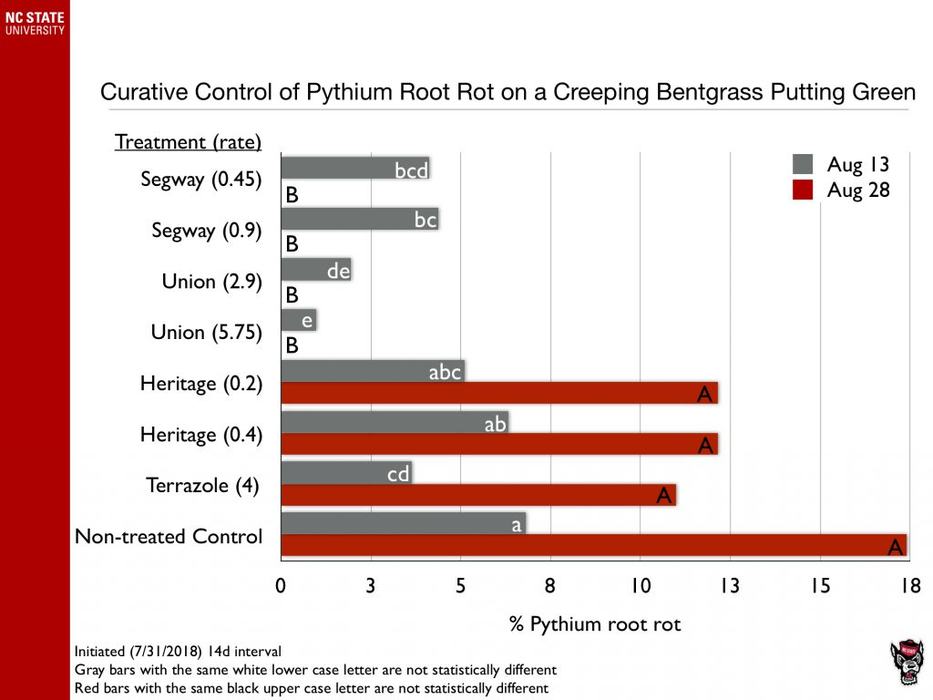 Pythium root rot chart image