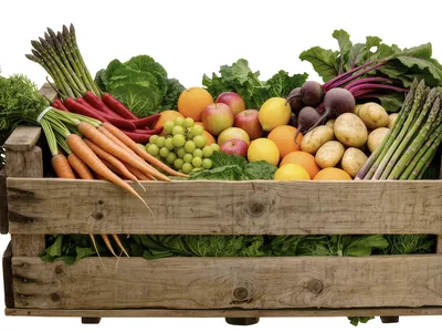 Crate of mixed fresh vegetables