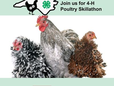 Advertisment for 4-H Poultry Skillathon in North Carolina