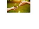 Decorative image of hands holding soil with plant growing
