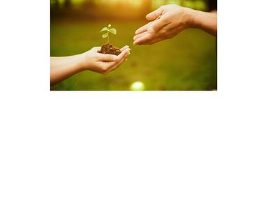 Decorative image of hands holding soil with plant growing