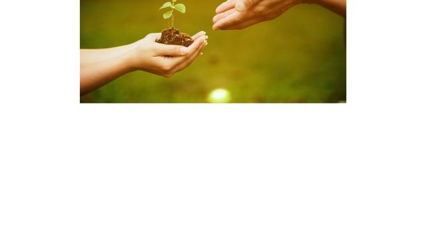 Decorative image of hands holding soil with plant growing