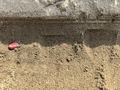 Soil moisture and peanut stand establishment