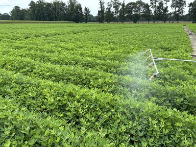 Backpack sprayer