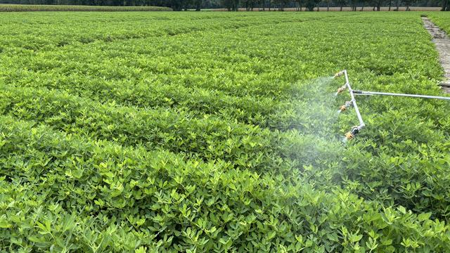 Backpack sprayer