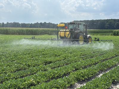 Fungicides being applied in peanut in early July