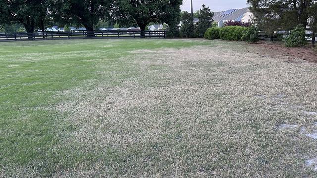 spring 2026 drought damage and slow green up