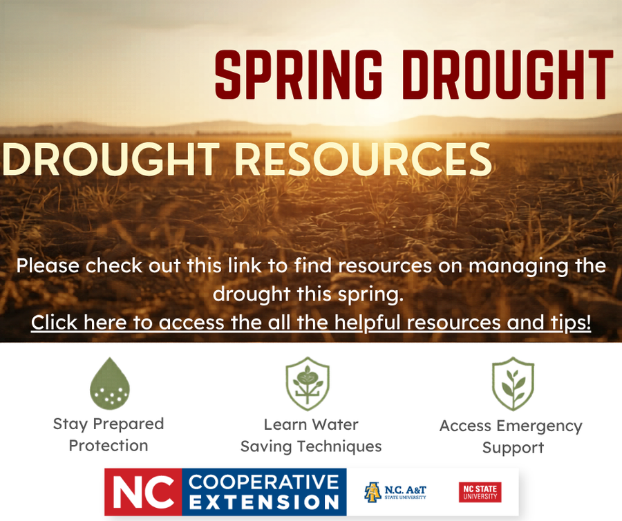 spring drought: resources and tips. open dry field
