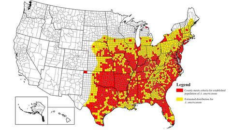 A map from the U.S. Centers of Disease Control and Prevention shows the estimated distribution of lone star ticks (Amblyomma americanum) i