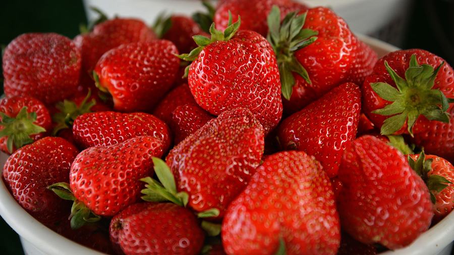 Close-up of a white bucket filled above the brim with shiny red strawberries.