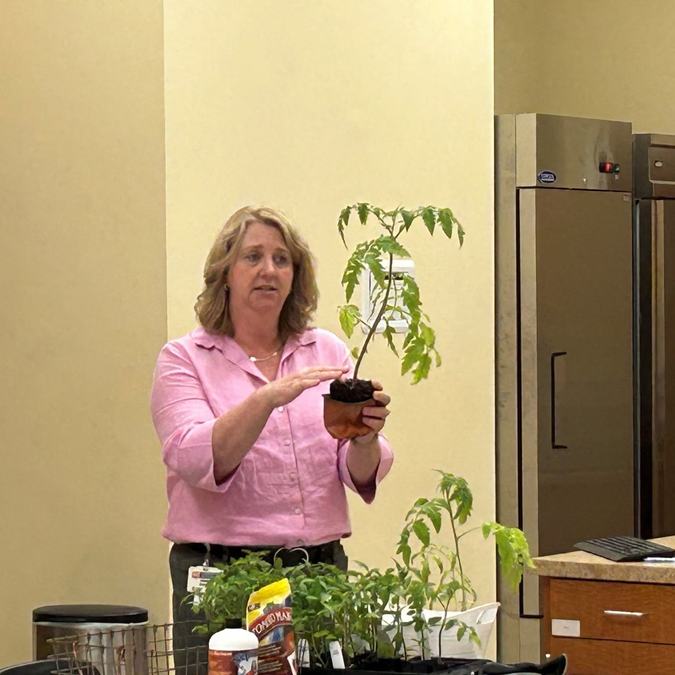 Joanna Radford teaching a homeowner tomato production workshop.