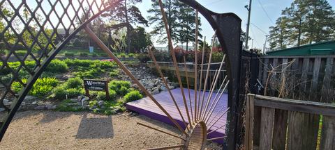 A garden next to a gravel walkway and purple stage