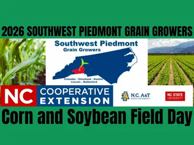 2026 SOUTHWEST PIEDMONT GRAIN GROWERS Corn and Soybean Field Day banner image