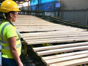 Mill worker in hard hat and safety vest inspecting lumber passing by on conveyor