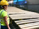 Mill worker in hard hat and safety vest inspecting lumber passing by on conveyor