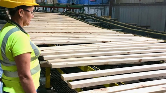Mill worker in hard hat and safety vest inspecting lumber passing by on conveyor