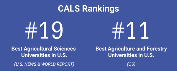 Graphic titled “CALS Rankings” shows NC State’s College of Agriculture and Life Sciences ranked No. 19 best agricultural sciences university in the U.S. by U.S. News & World Report, and No. 11 best agriculture and forestry university in the U.S. by QS.