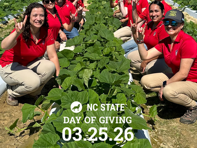 A group of NC State Extension staff wearing red shirts and khaki pants kneel in rows of a cultivated field with large green plants, smiling and making hand signs toward the camera. Overlaid text reads “NC State Day of Giving 03.25.26.”