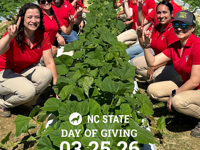A group of NC State Extension staff wearing red shirts and khaki pants kneel in rows of a cultivated field with large green plants, smiling and making hand signs toward the camera. Overlaid text reads “NC State Day of Giving 03.25.26.”