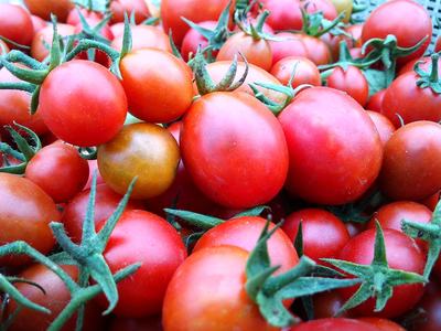 Picture of a tomato