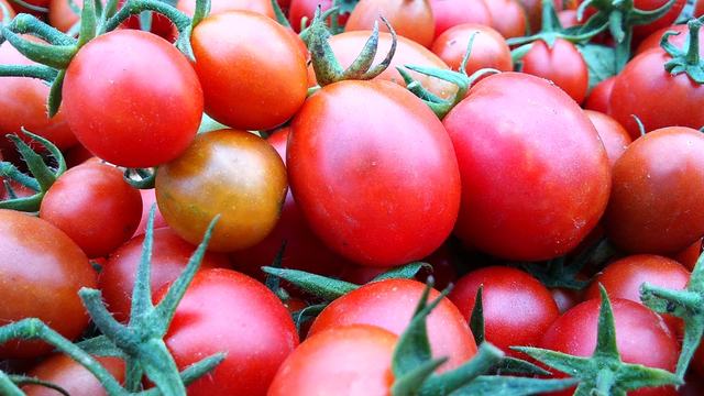 Picture of a tomato