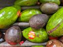 Avocados and nutrition