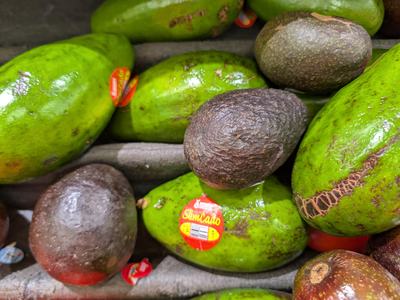 Avocados and nutrition