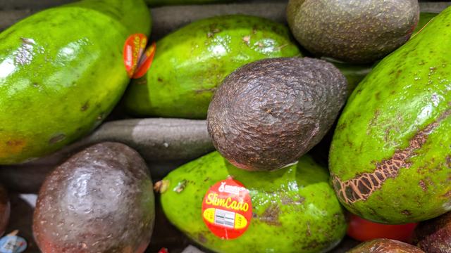 Avocados and nutrition