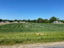 Wheat field trial plots
