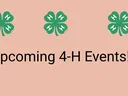 Graphic With 3 green 4-H clovers on top and says upcoming 4-H Events