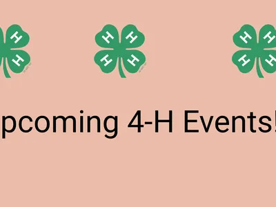 Graphic With 3 green 4-H clovers on top and says upcoming 4-H Events